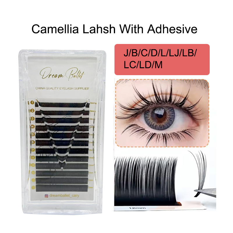Eyelash Extension Examples - Накладные ресницы Dream Ballet Camellia с